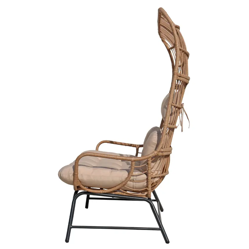 Garden furniture metal patio furniture garden basket chair double egg chair